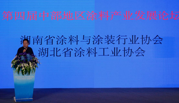湖北省涂料工业协会常务副会长岳望坤