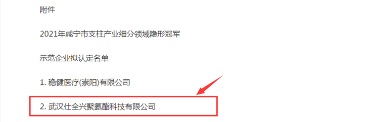 2021年咸宁市支柱产业细分领域隐形冠军企业