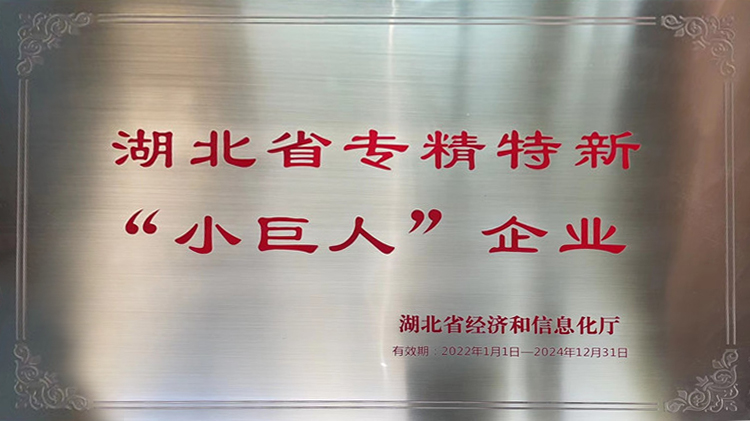 湖北省专精特新小巨人.jpg